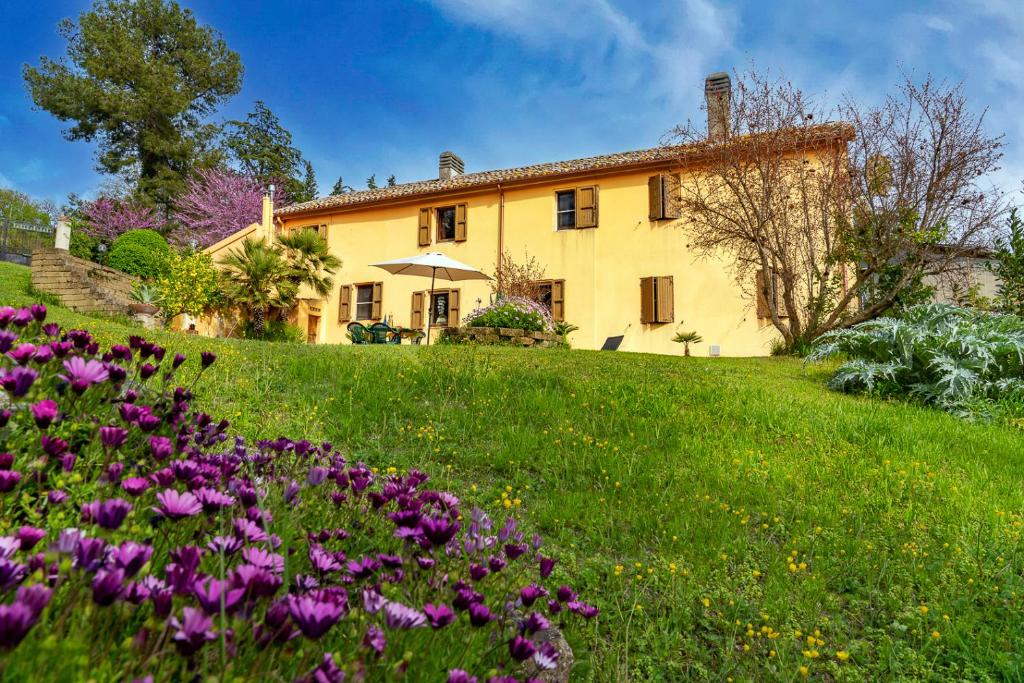 Zahrada ubytování B&B Glicine