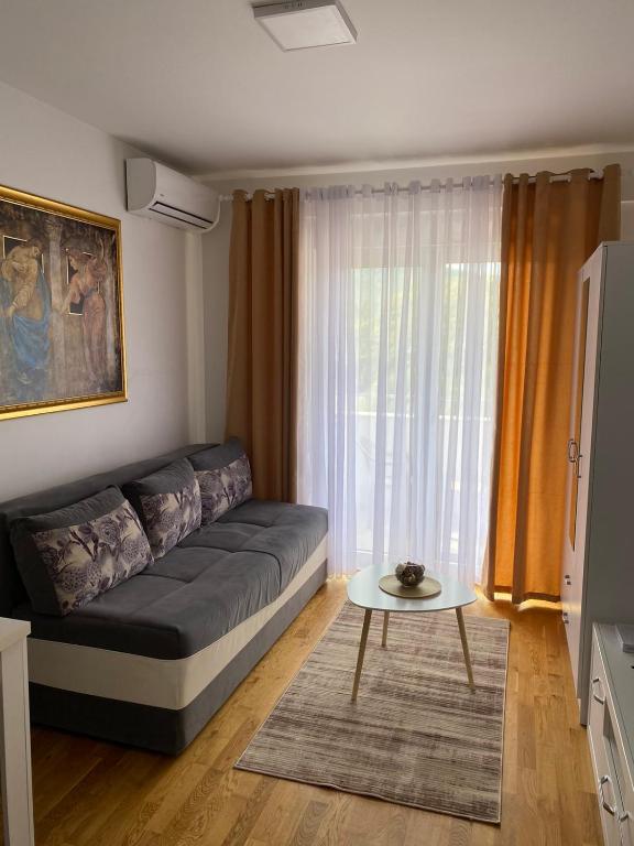 Gallery image of Apartment Marko in Budva