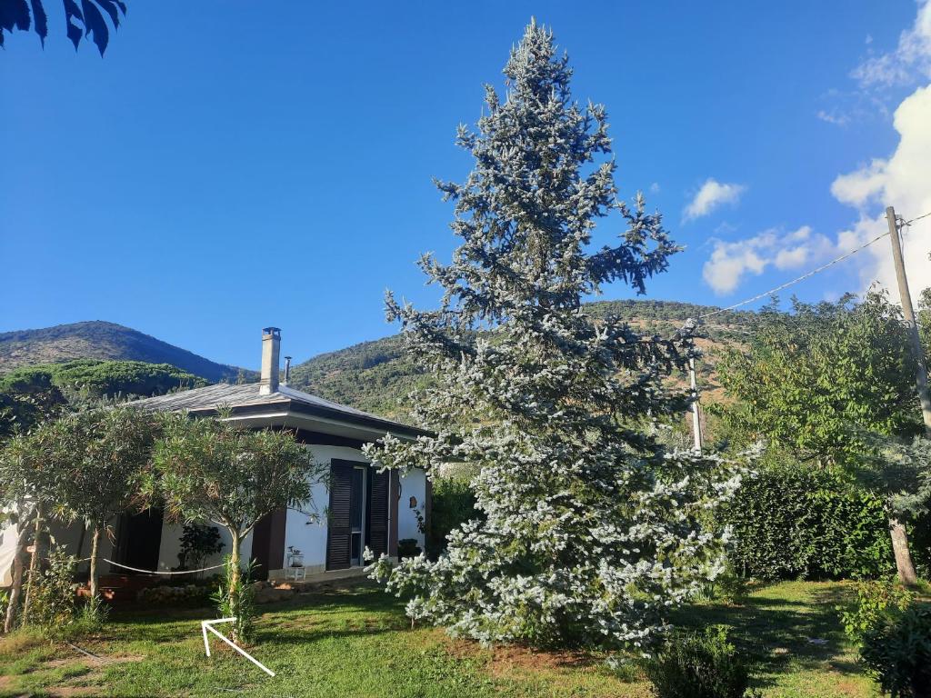 Casetta in Collina - Casa De Dos Dormitorios