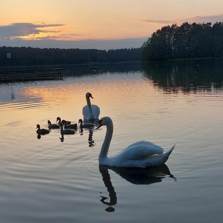 Príroda v okolí dovolenkového domu