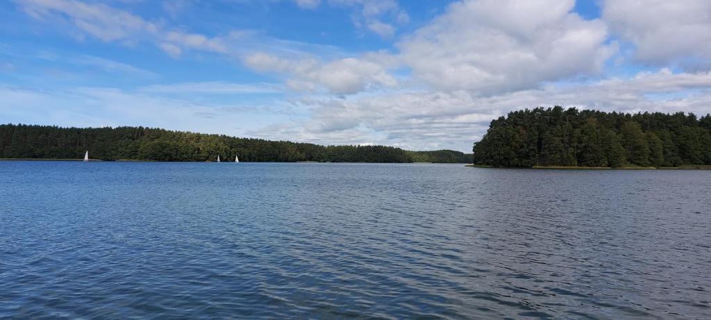 Príroda v okolí dovolenkového domu