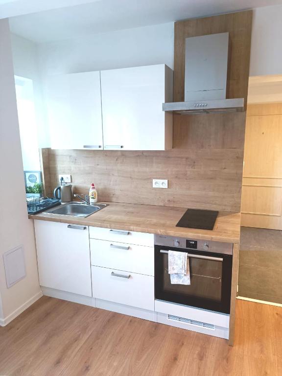 Kuchyň nebo kuchyňský kout v ubytování Zoo Karlovarská Apartment