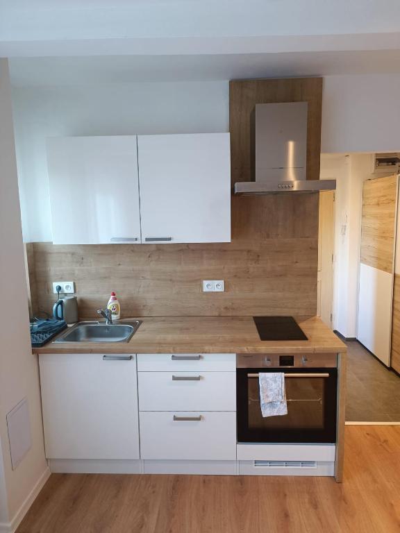 Kuchyň nebo kuchyňský kout v ubytování Zoo Karlovarská Apartment