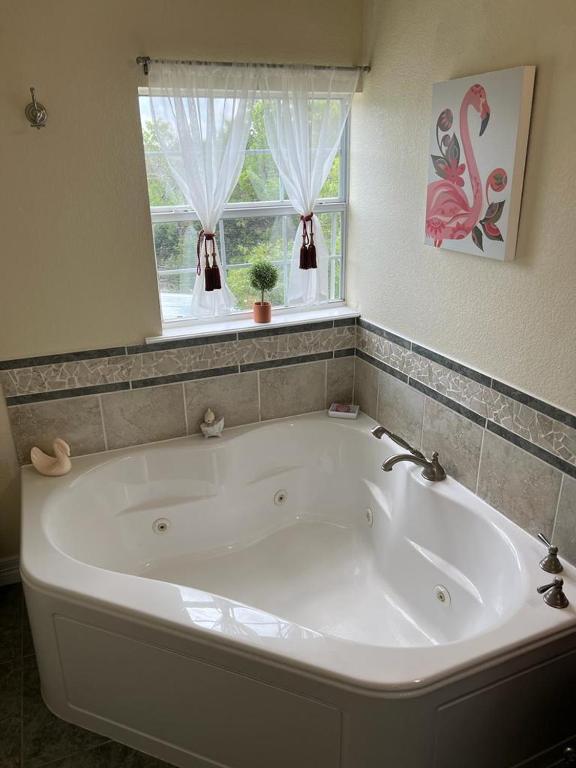 a large white tub in a bathroom with a window at Entire 2br 2ba hilltop view home Sleeps 8 pets 4 acres Jacuzzi Central AC Kingbeds Free Wifi-Parking Kitchen WasherDryer Starry Terrace Two Sunset Dining Patios Grill Stovetop Oven Fridge OnsiteWoodedHiking Wildlife CoveredPatio4pets & Birds Singing! in Marble Falls