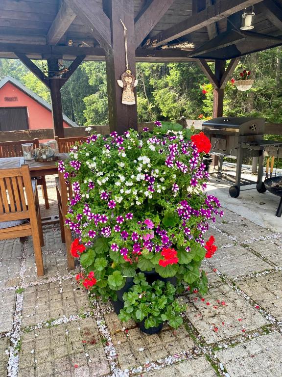 Zahrada ubytování Hotel Petski