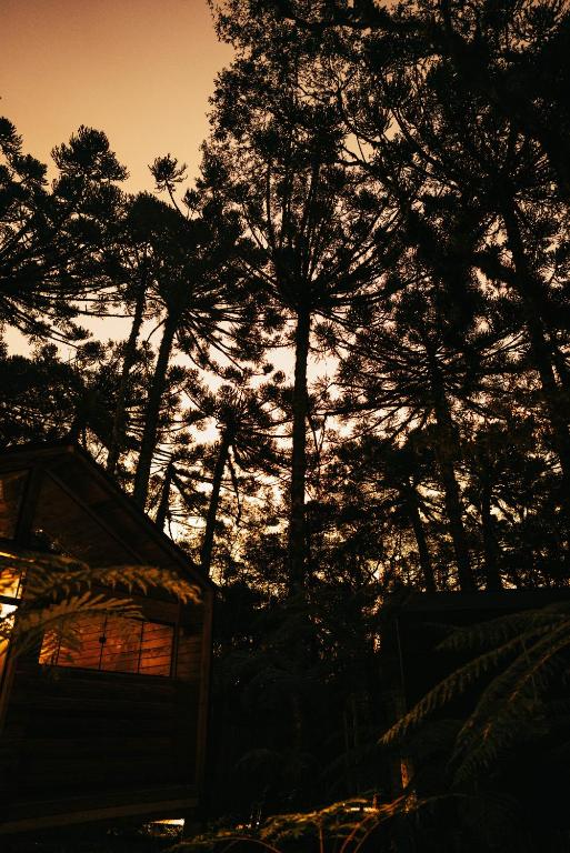 Fotografie z fotogalerie ubytování Pousada Alpes da Araucárias v destinaci São Francisco de Paula