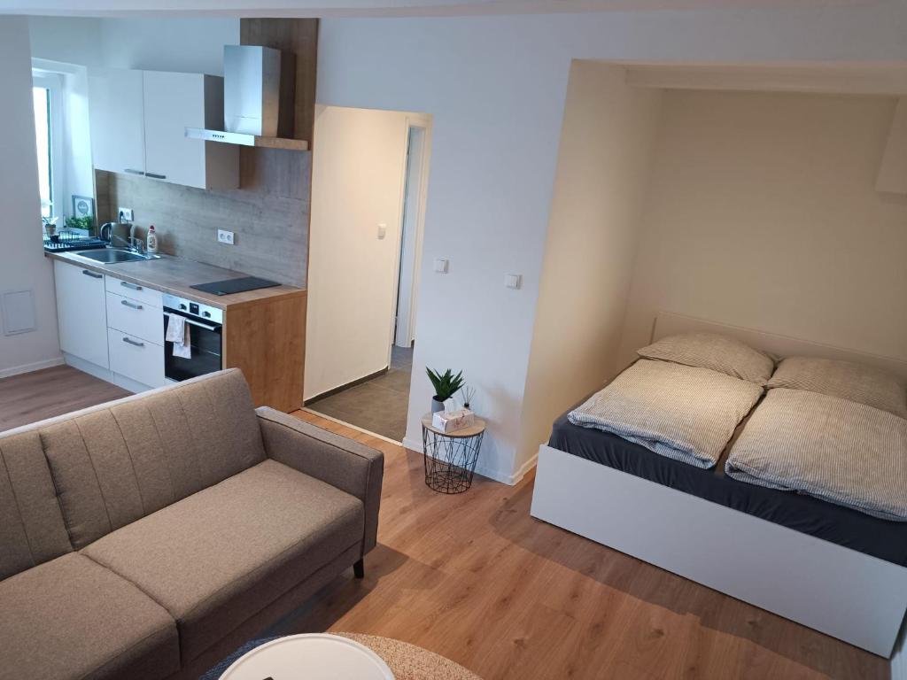 ein Schlafzimmer mit einem Bett und einem Sofa sowie eine Küche in der Unterkunft Zoo Karlovarská Apartment in Pilsen