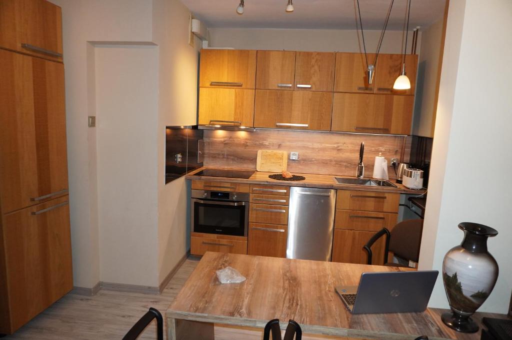 Kuchyňa alebo kuchynka v ubytovaní Apartment 6 Gwiazdek