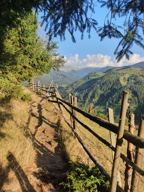una valla de madera en una colina con montañas en el fondo en ALEGRIA - MOIECIU DE SUS en Moieciu de Sus
