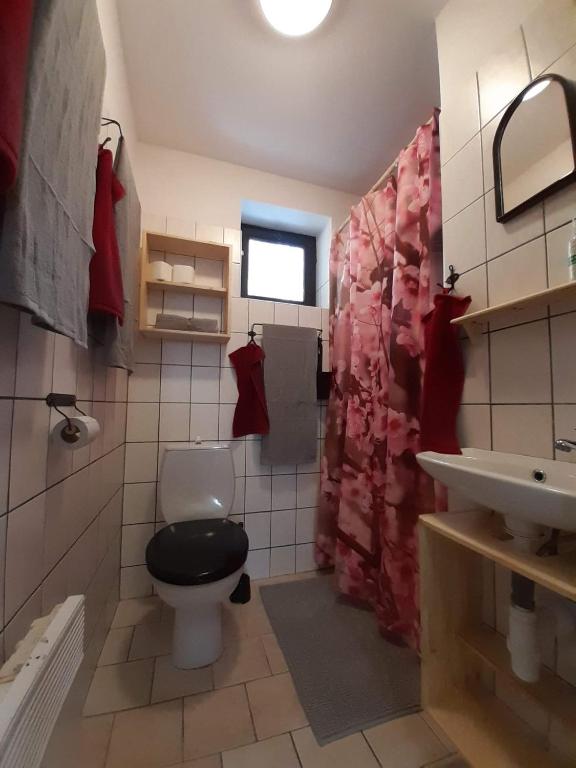 Vannituba majutusasutuses Chata Nad rybníkem Hnačov