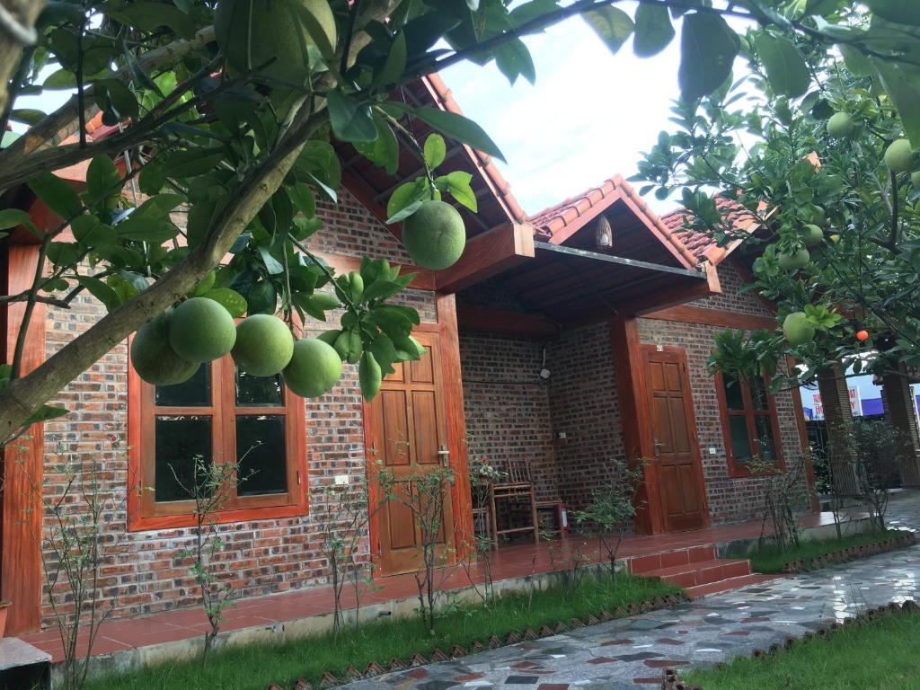 Tam Coc Thanh Dat Homestay - 19