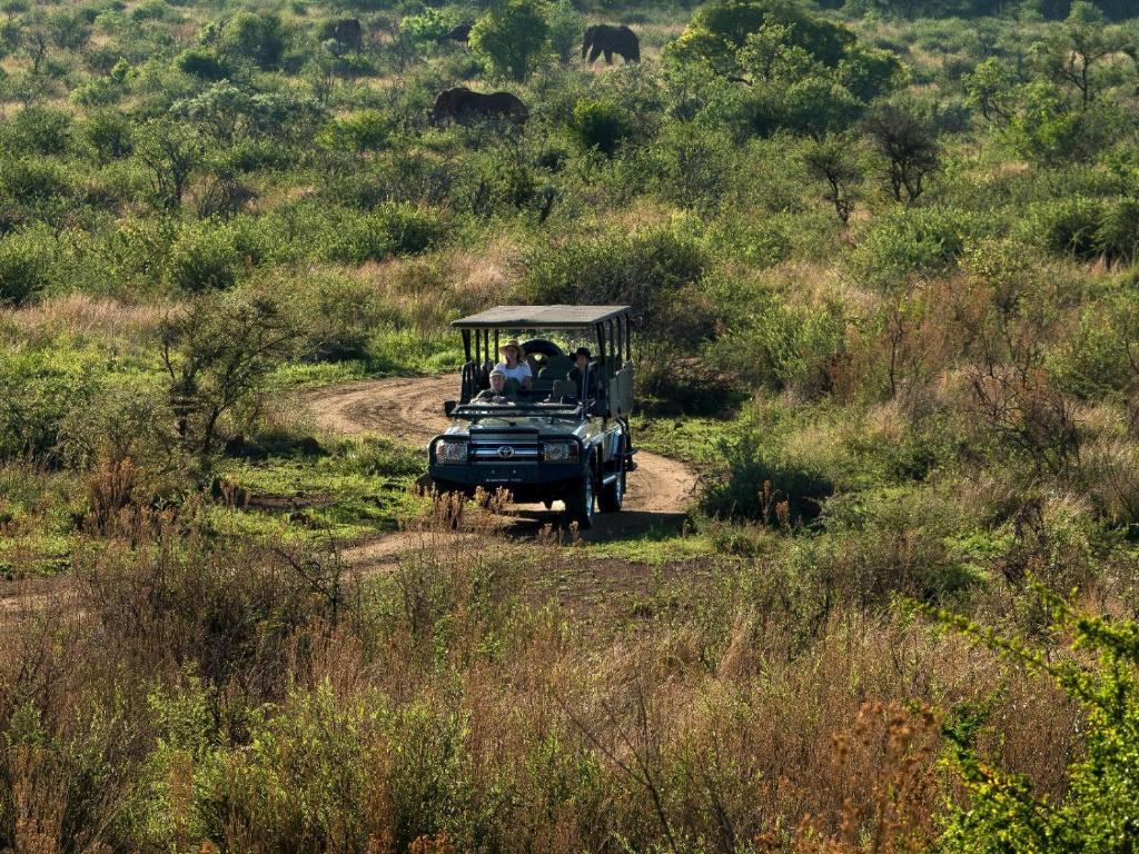 Fotografie z fotogalerie ubytování Mbazo Safari Collection v destinaci Pilanesberg