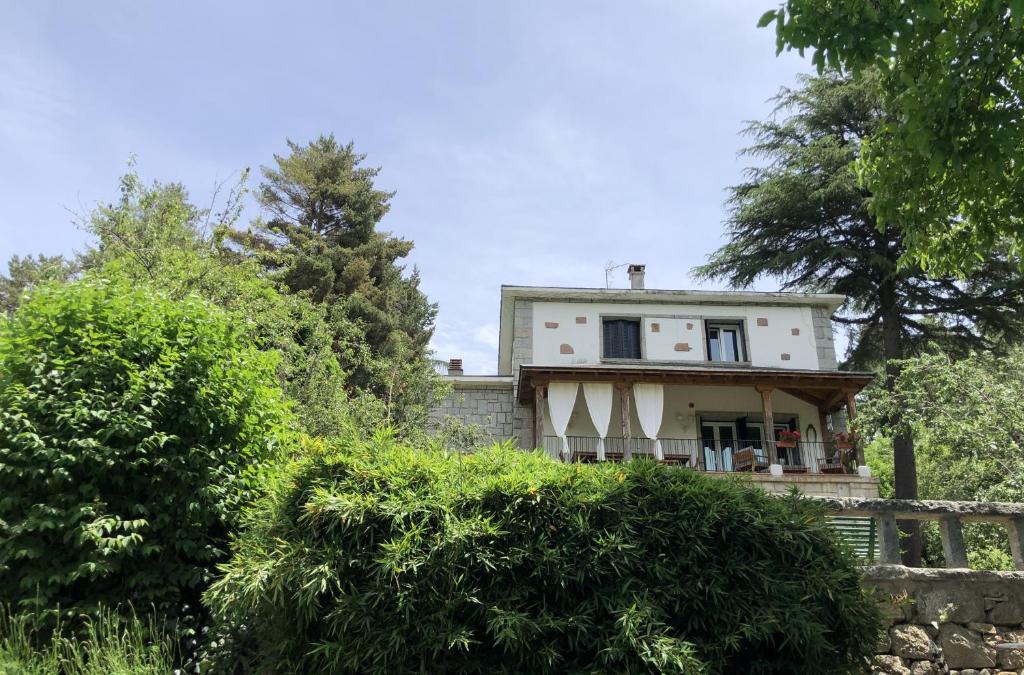 uma casa no lado de uma colina com árvores em La casona de Mimi em Cercedilla