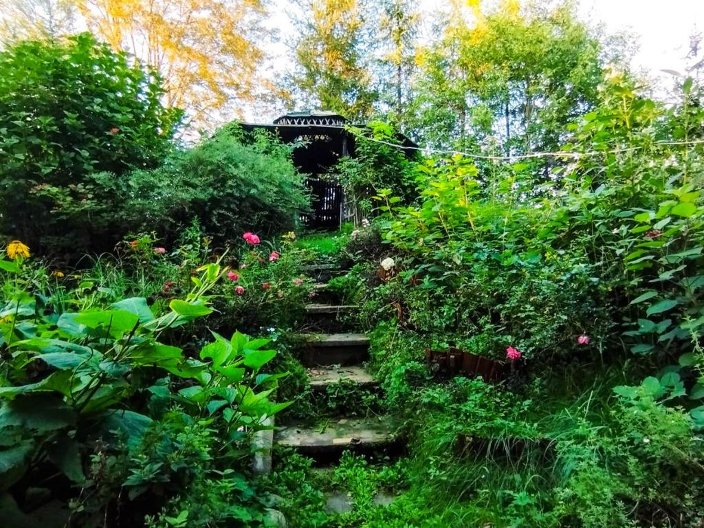 Vonkajšia záhrada v ubytovaní Garden House nad jeziorem Szelment