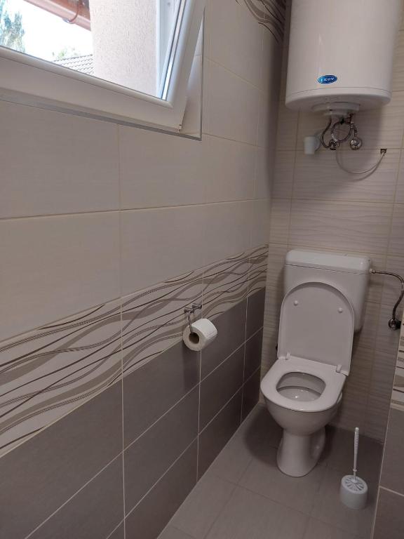 Kúpeľňa v ubytovaní Szépasszonyvölgy Apartman