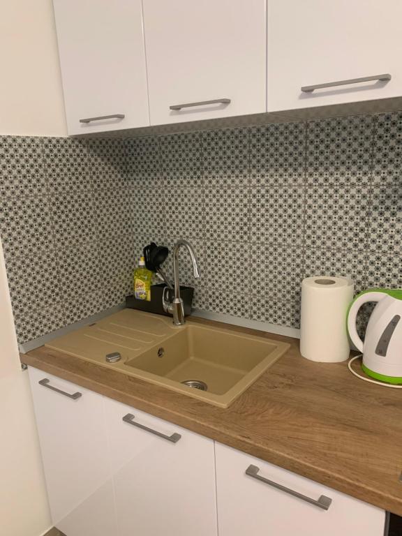 Kuchyň nebo kuchyňský kout v ubytování Apartman Magica