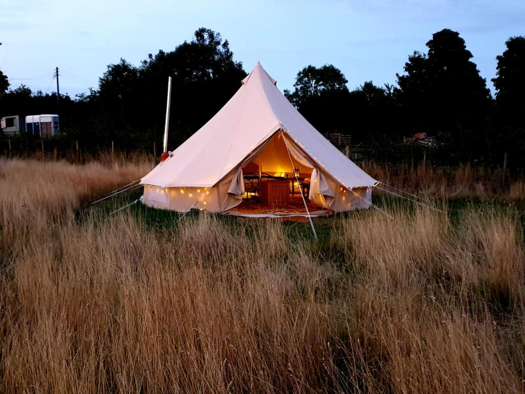 a bell tent in a field of tall grass at Luxury 5m bell tent with log burner near Whitby in Saltburn-by-the-Sea