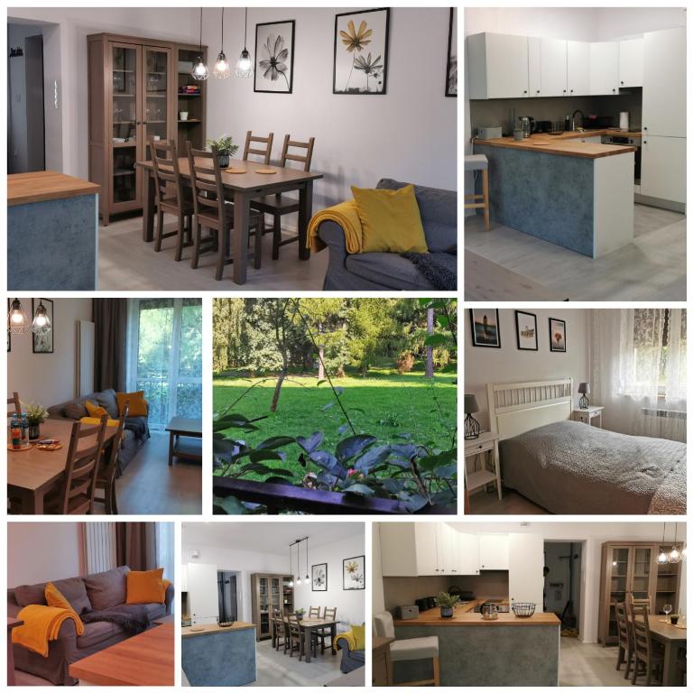 Zdjęcie z galerii obiektu Apartament w parku w Oświęcimiu