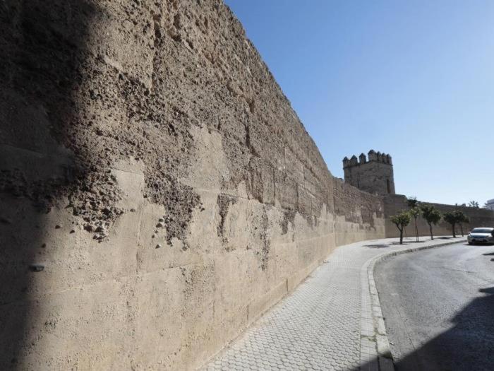 Kép La muralla de Sevilla szállásáról Sevillában a galériában