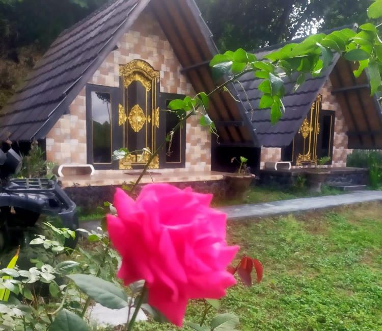 a pink flower in front of a house at Zelobi Venture in Kintamani
