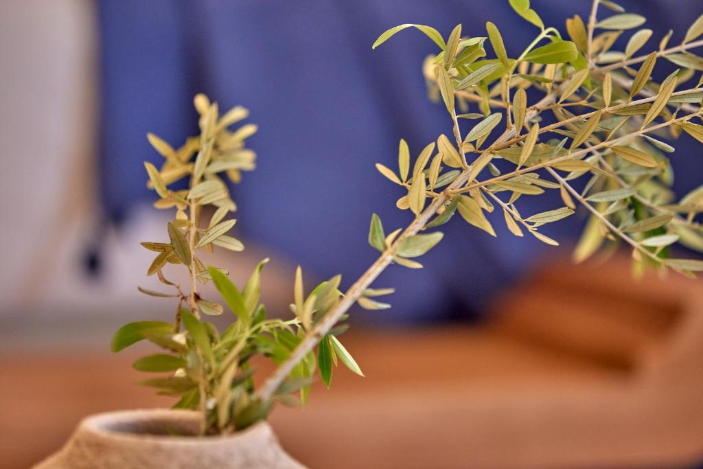 Puro Grand Hotel - Resim 25