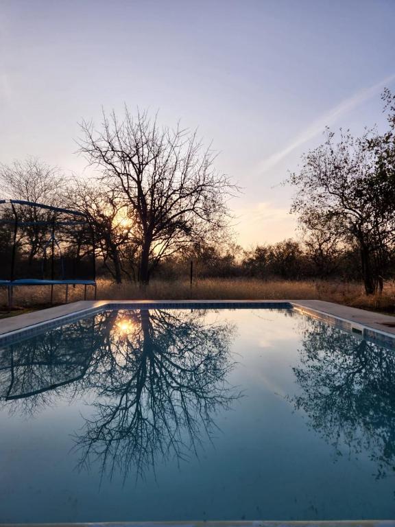 Simba Safaris African Pride Exotic Lodge, Lephalale – Tarifs 2024