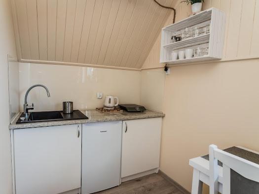 Kuchyňa alebo kuchynka v ubytovaní Apartamenty na wzgórzu