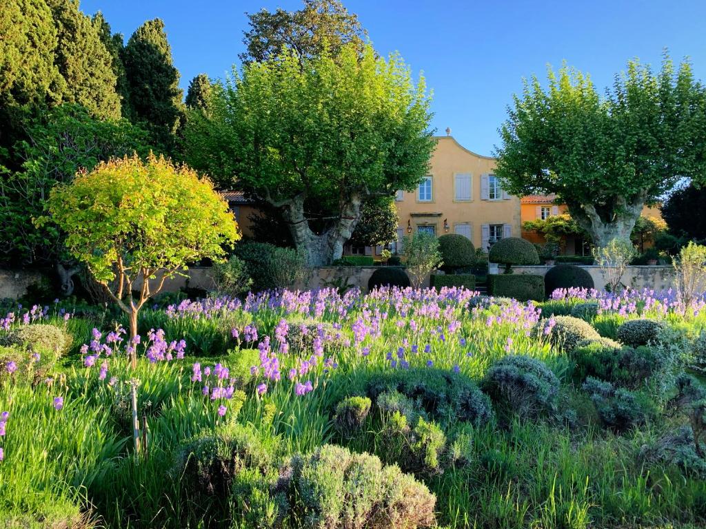 キュキュロンにあるLe Pavillon de Galonの紫の花と木々が植えられた庭園
