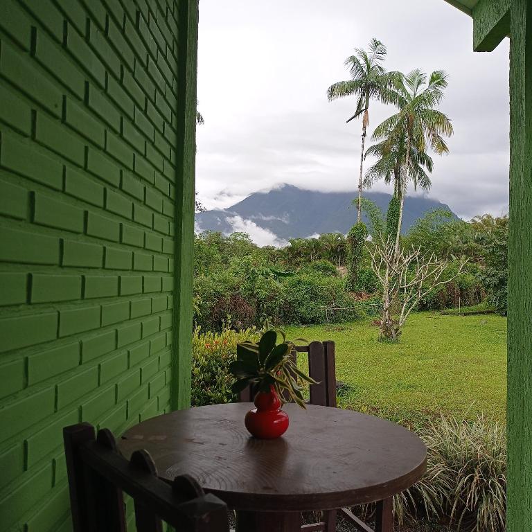 a table with a plant sitting on top of it at Pura Vida Residence in Morretes
