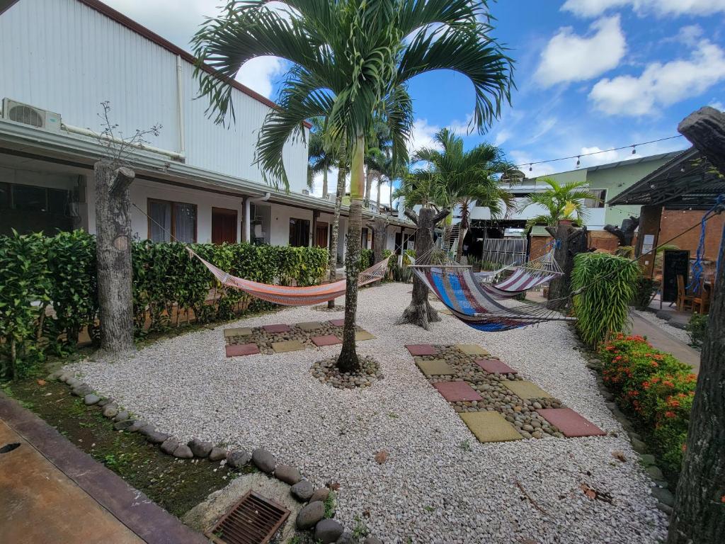 a yard with a hammock and palm trees and a building at Arenal Poshpacker in Fortuna