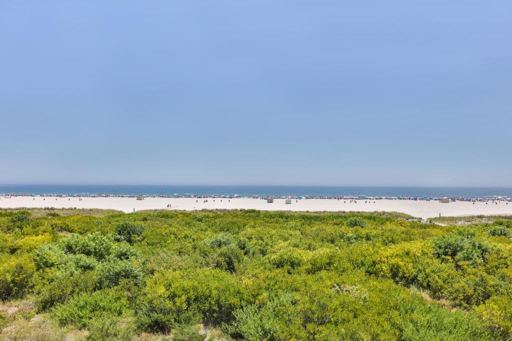 Olympic Island Beach Resort photo
