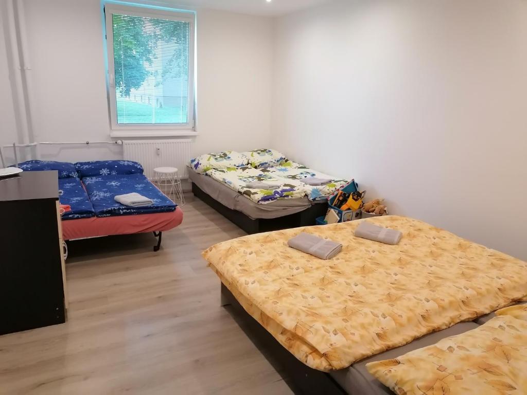 Postel nebo postele na pokoji v ubytování apartmán Aneta