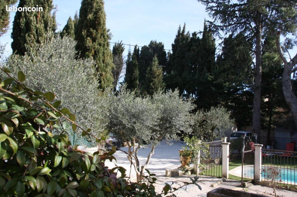 un árbol en un patio junto a una valla en mas des cèdres, en Tarascon