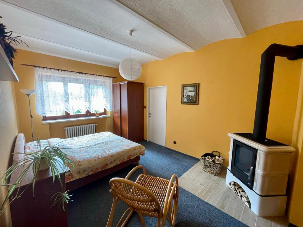 um quarto com uma cama e um fogão a lenha em Ubytování v Krkonoších, rodinný apartmán Peklíčko em Horní Lánov