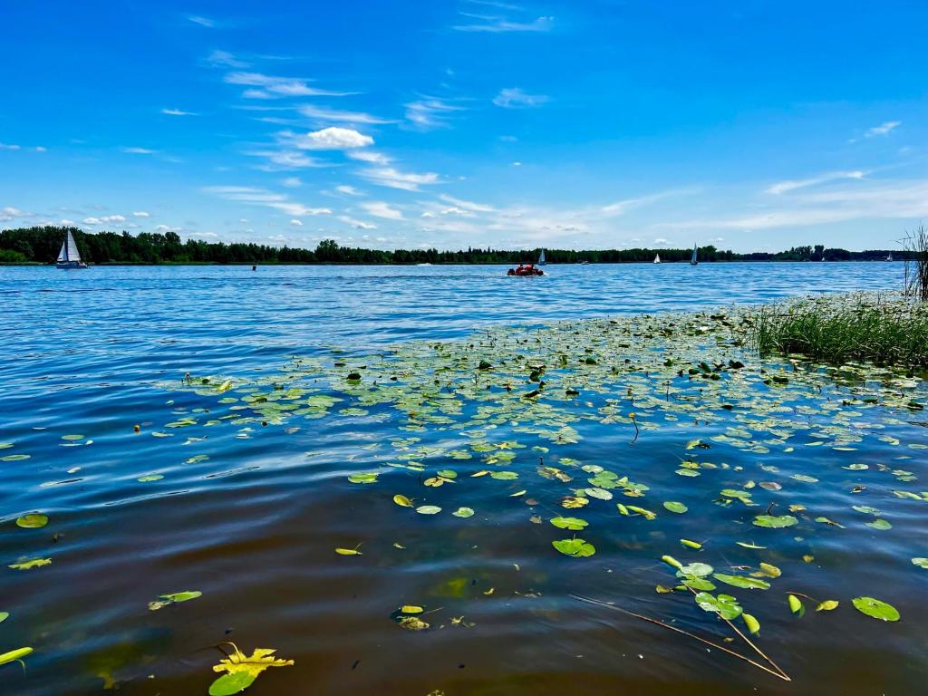 Príroda v okolí apartmánu