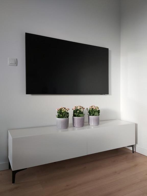 Televízia a/alebo spoločenská miestnosť v ubytovaní Apartament 150 Zaspa VVita