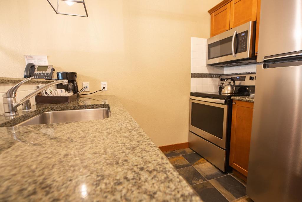 The Village at Palisades Tahoe - Apartamento De Una Habitación Con Mountain View