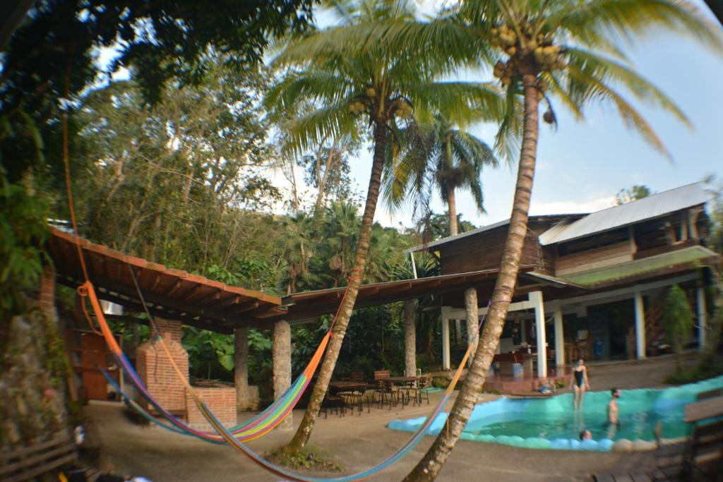 Bazén v ubytování Omega Tours Eco-Jungle Lodge nebo v jeho okolí