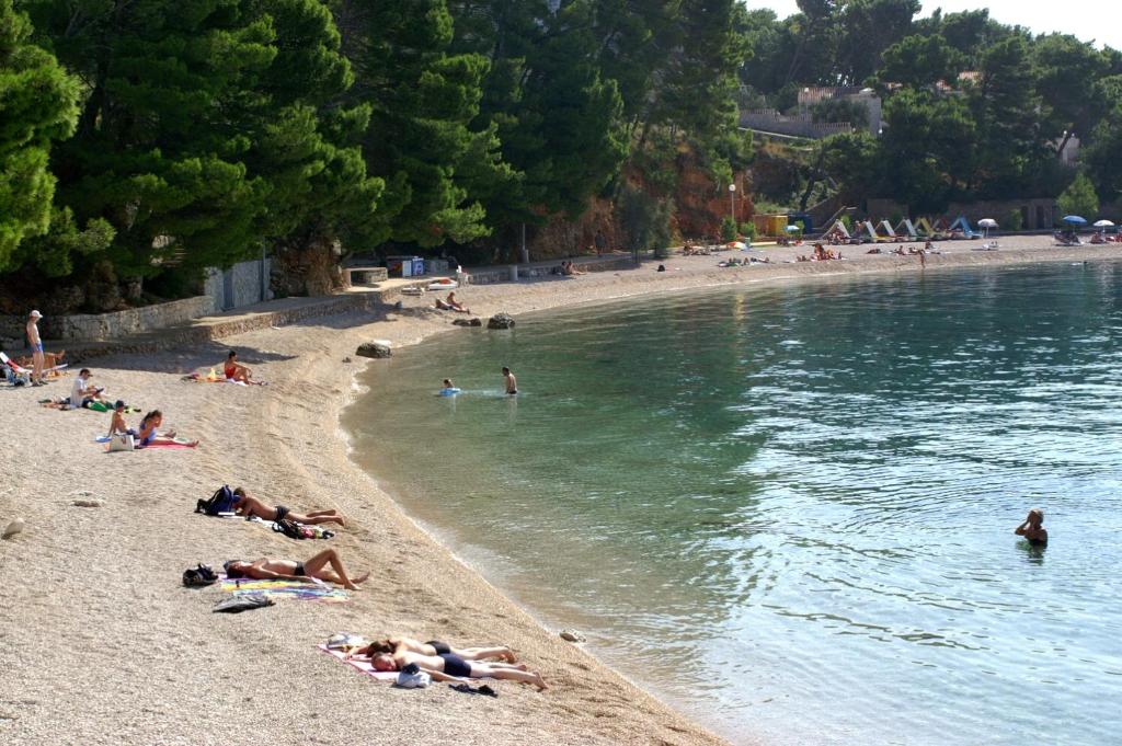 Príroda v okolí apartmánu