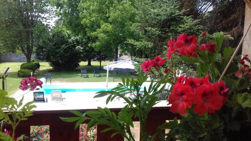 Cussy-les-Forges的住宿－Mes P'tis Loups avec Piscine, Spa, Sauna, Piano !，从鲜花盛开的花园欣赏到游泳池的景色