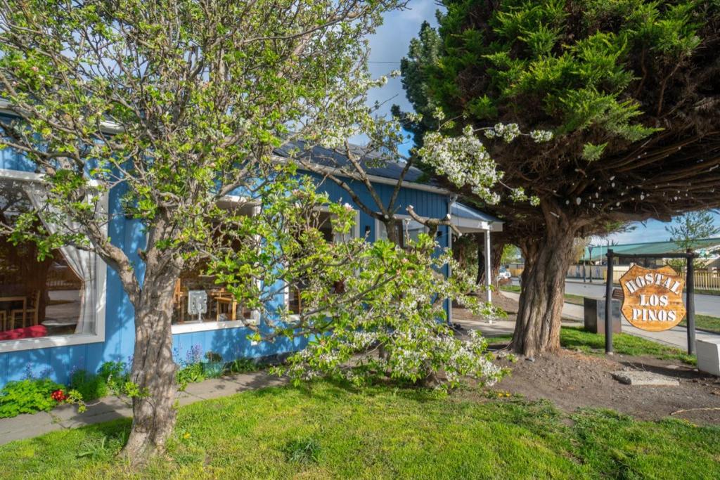 Zahrada ubytování Hostal Los Pinos