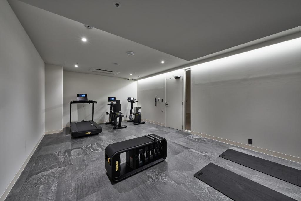 Fitness centrum a/nebo fitness zařízení v ubytování Hotel Lepo Chahal