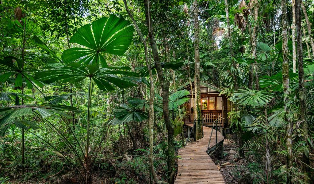 Zahrada ubytování Daintree Wilderness Lodge