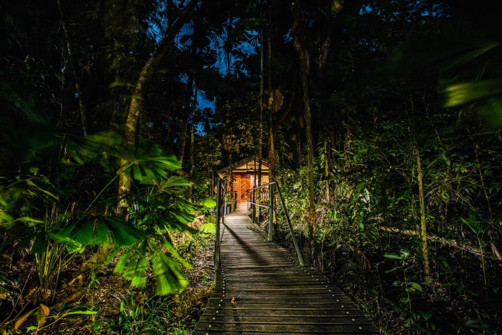 Zahrada ubytování Daintree Wilderness Lodge