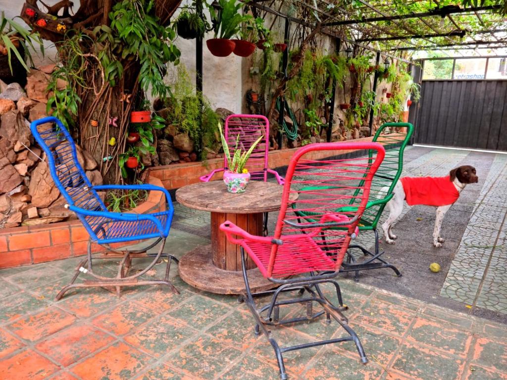 Fotografie z fotogalerie ubytování Hostal Jardín de Luque v destinaci San Lorenzo