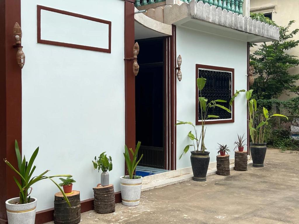 a house with potted plants in front of a door at Lotus Blanc Homestay in Battambang
