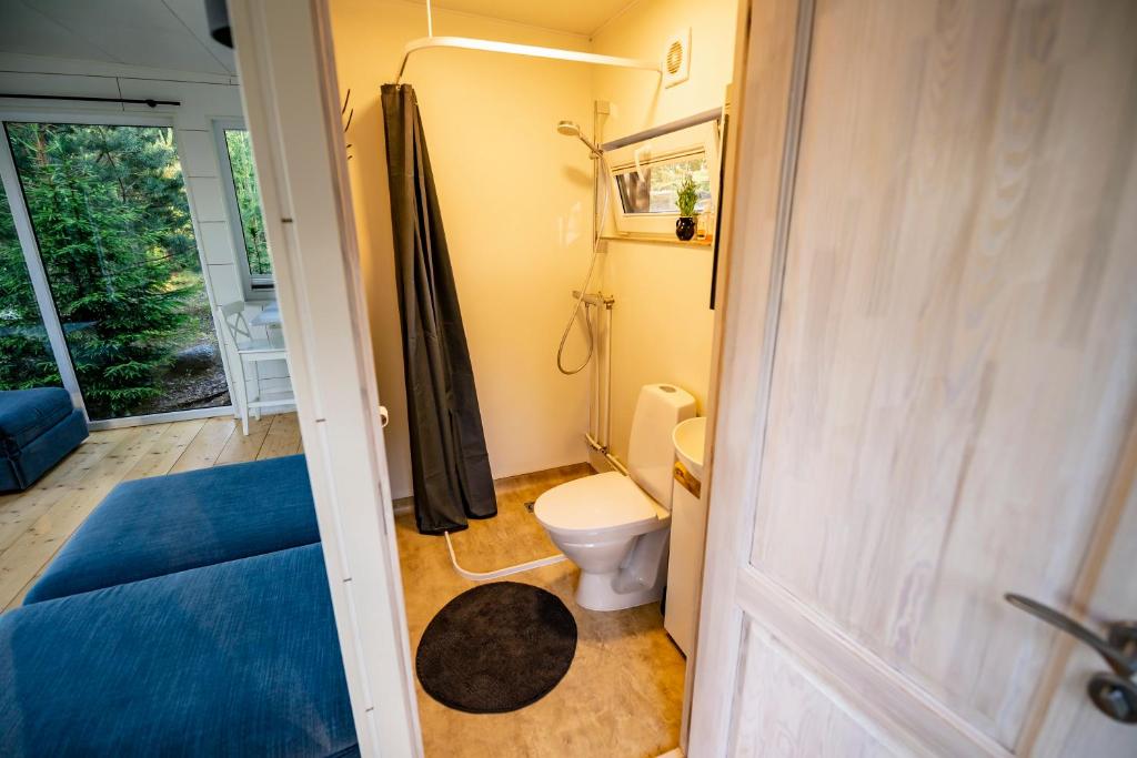 a small bathroom with a toilet and a shower at Lapsu ciems in Sece