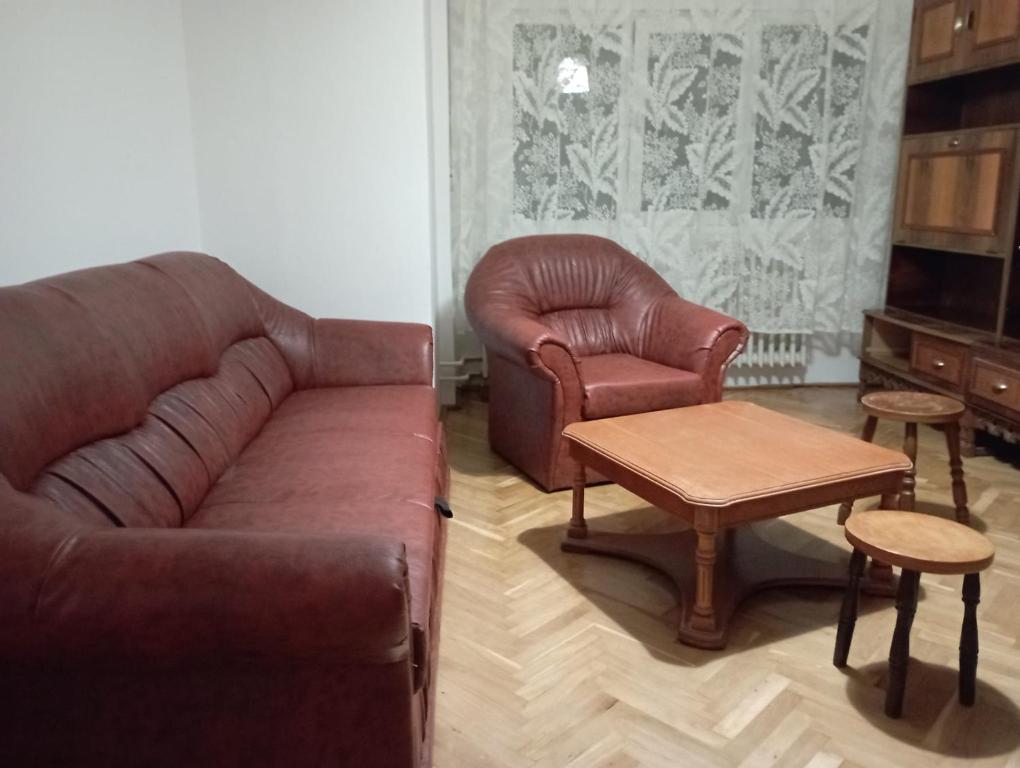 Apartament Herculane cu vedere la munte
