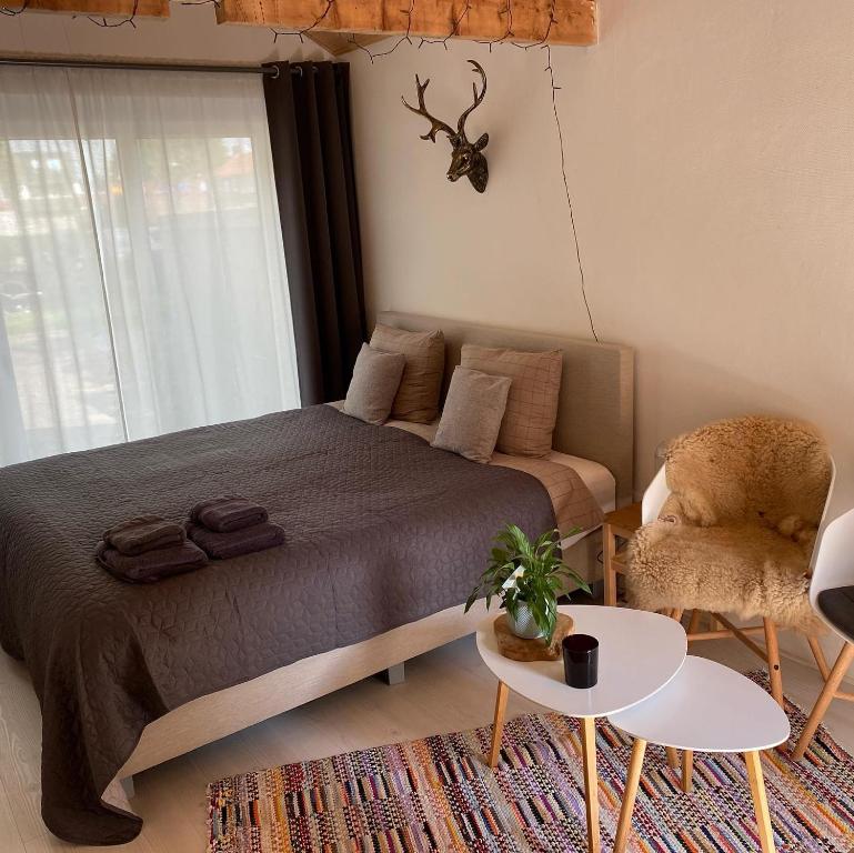 een slaapkamer met een bed, een tafel en een stoel bij Bed and Breakfast Heerenveen Centrum met Privé Sauna en Jacuzzi in Heerenveen
