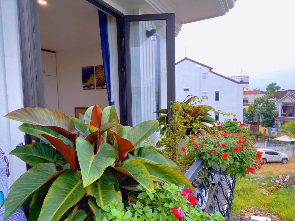 Zahrada ubytování Dawn Villa Homestay Hội An